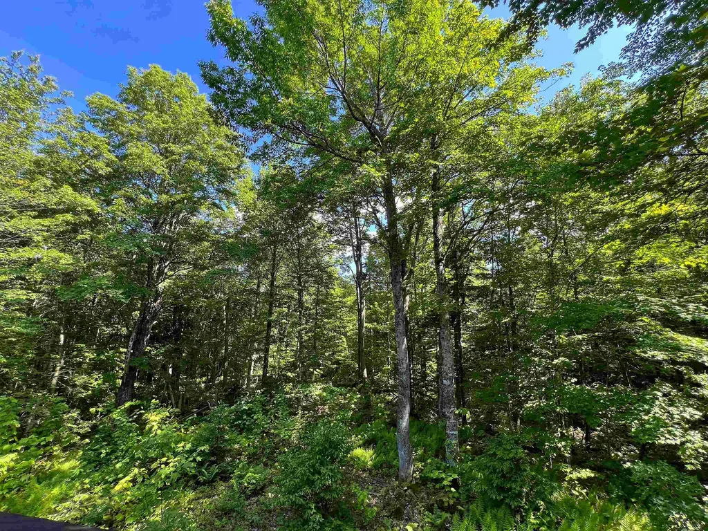 649 Mud Road Charleston VT 05872