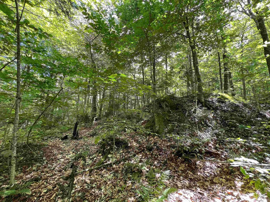 649 Mud Road Charleston VT 05872