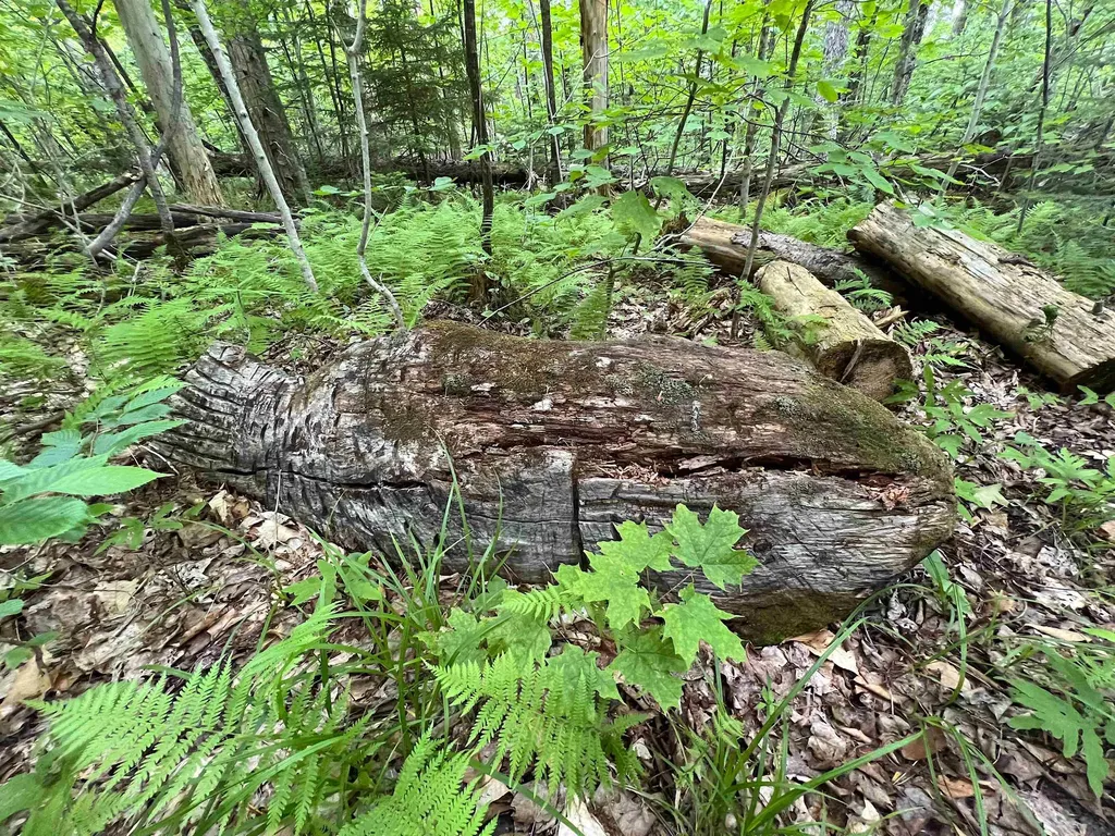 649 Mud Road Charleston VT 05872