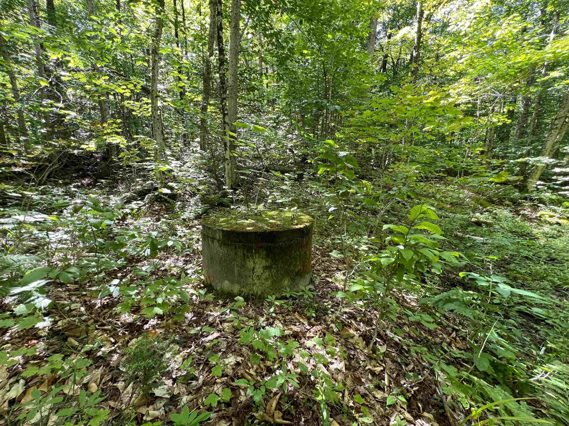 649 Mud Road Charleston VT 05872