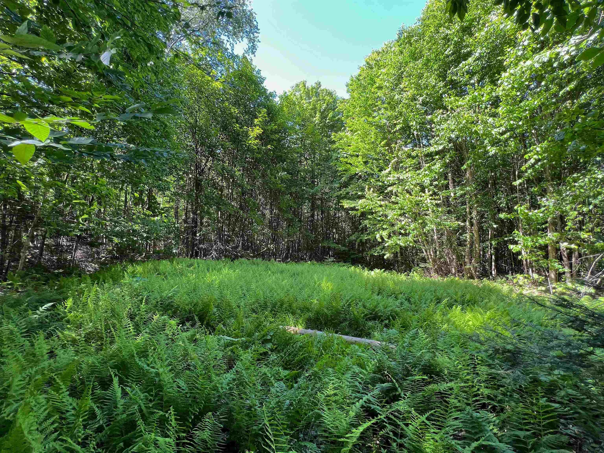 649 Mud Road Charleston VT 05872