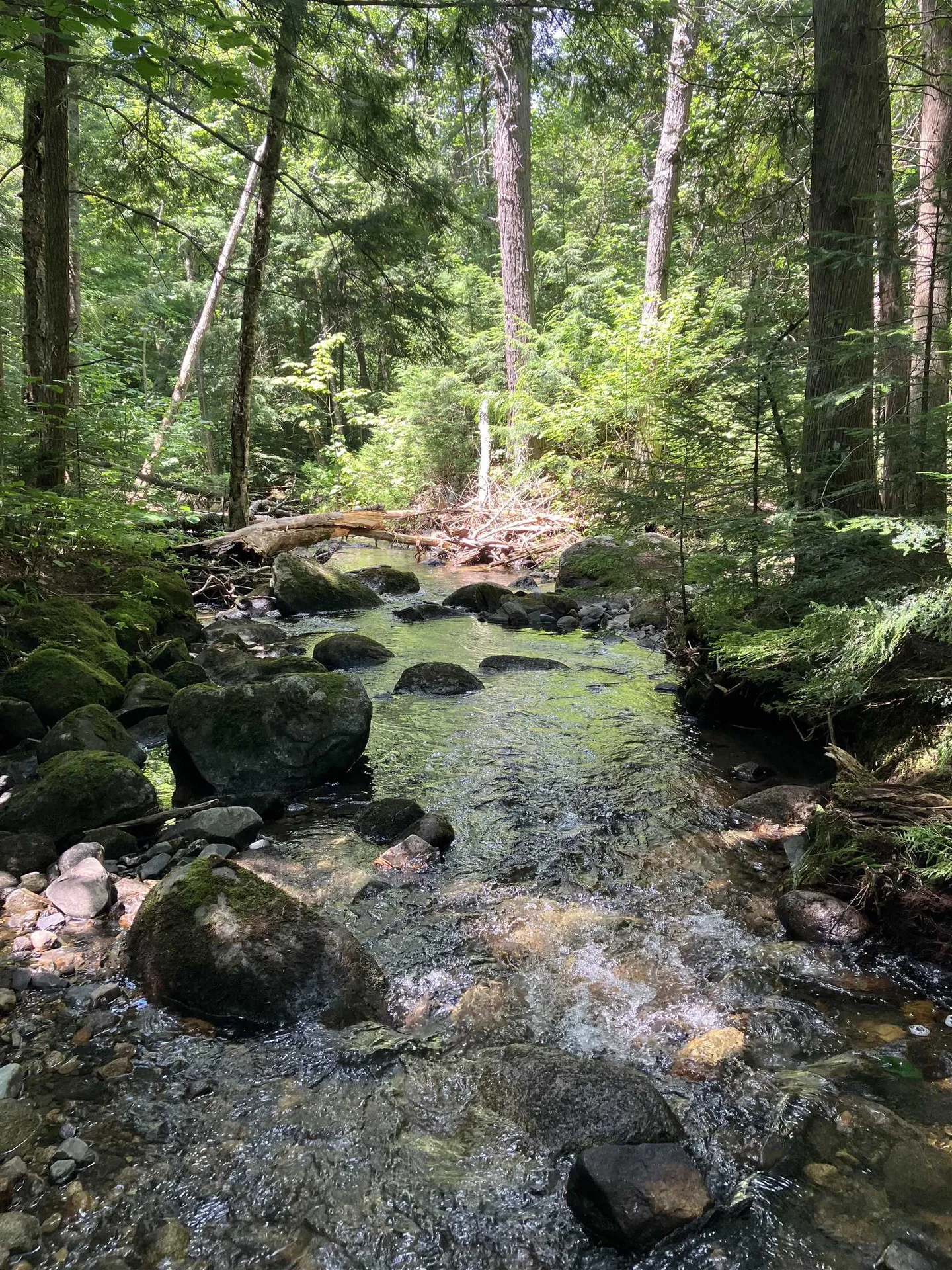 649 Mud Road Charleston VT 05872