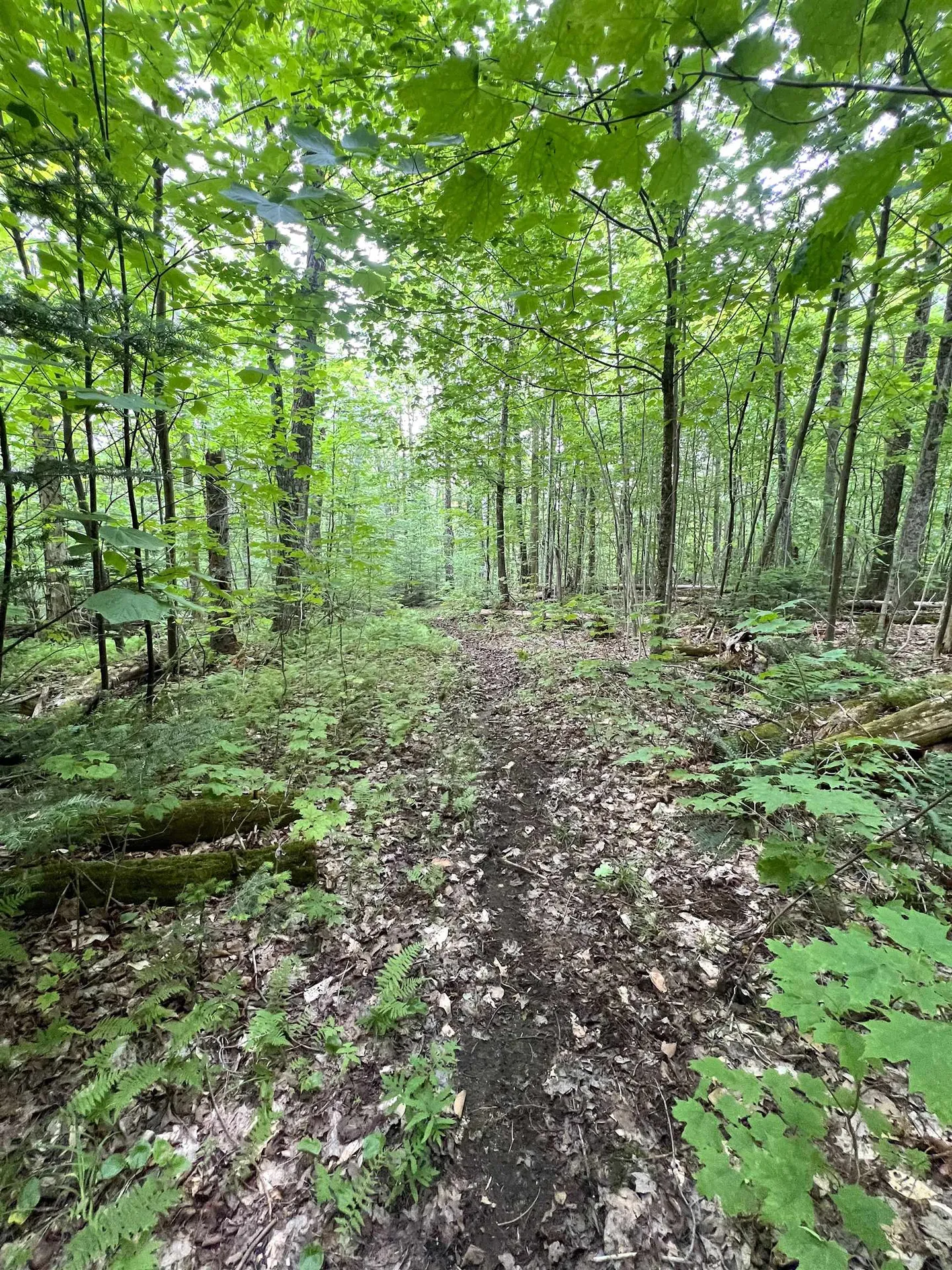 649 Mud Road Charleston VT 05872