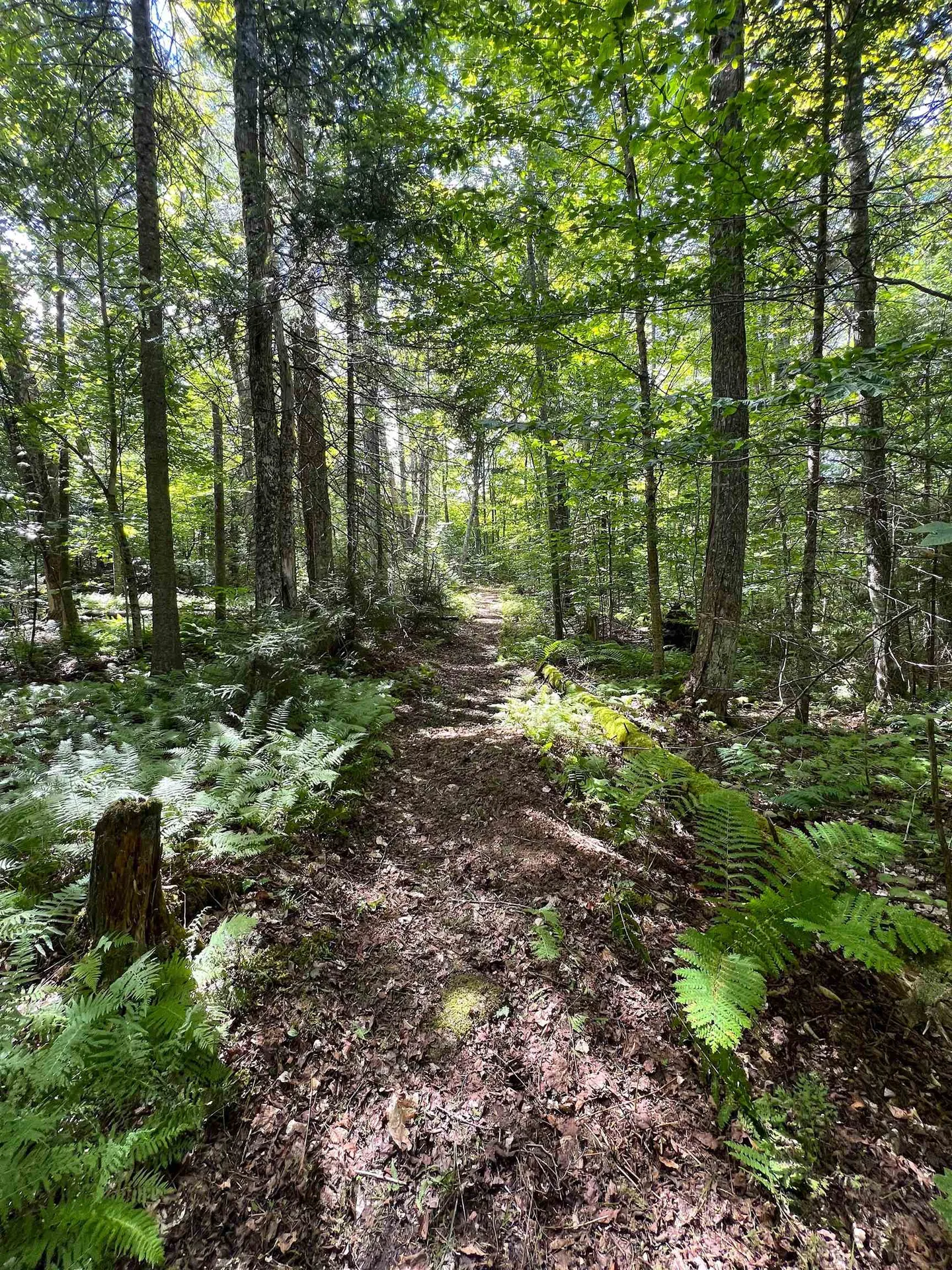 649 Mud Road Charleston VT 05872