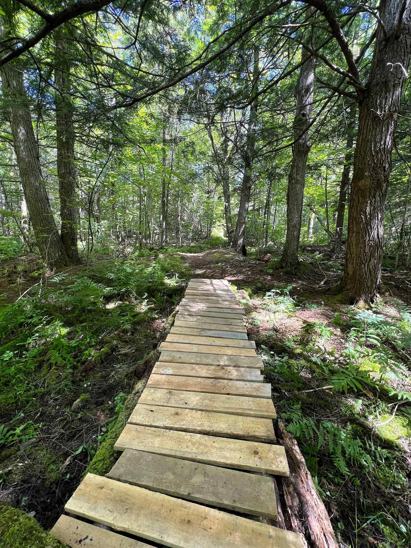 649 Mud Road Charleston VT 05872