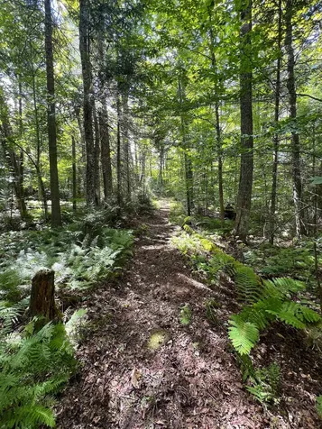 649 Mud Road Charleston VT 05872