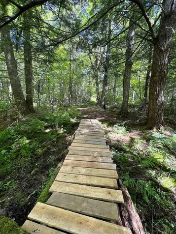 649 Mud Road Charleston VT 05872