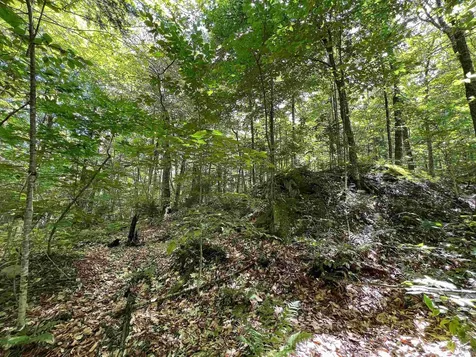 649 Mud Road Charleston VT 05872