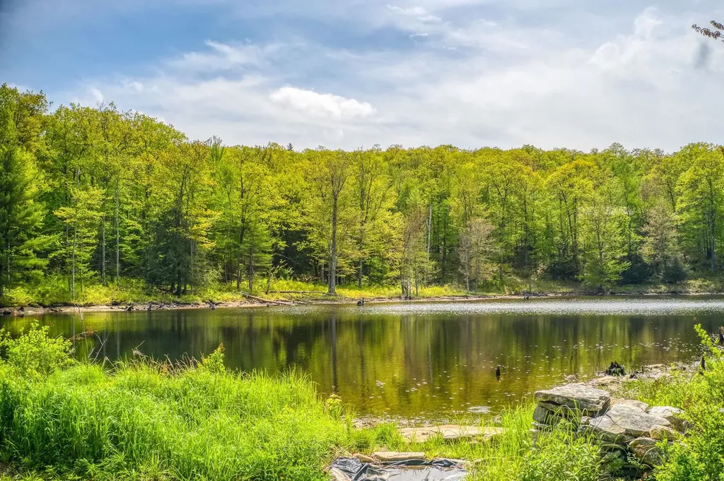 79 Summit Drive New Boston NH 03070