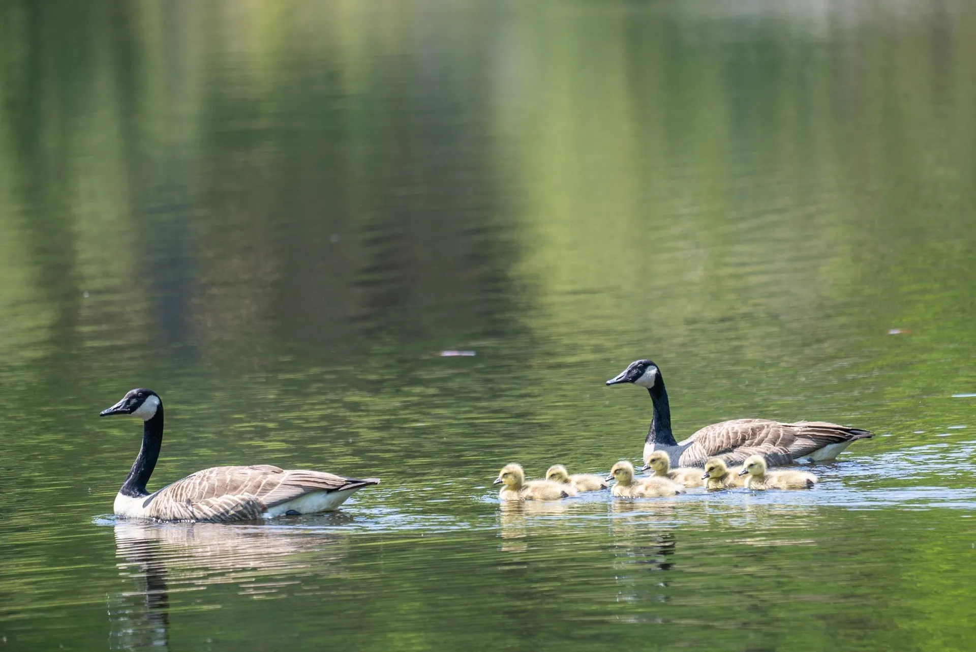 79 Summit Drive New Boston NH 03070