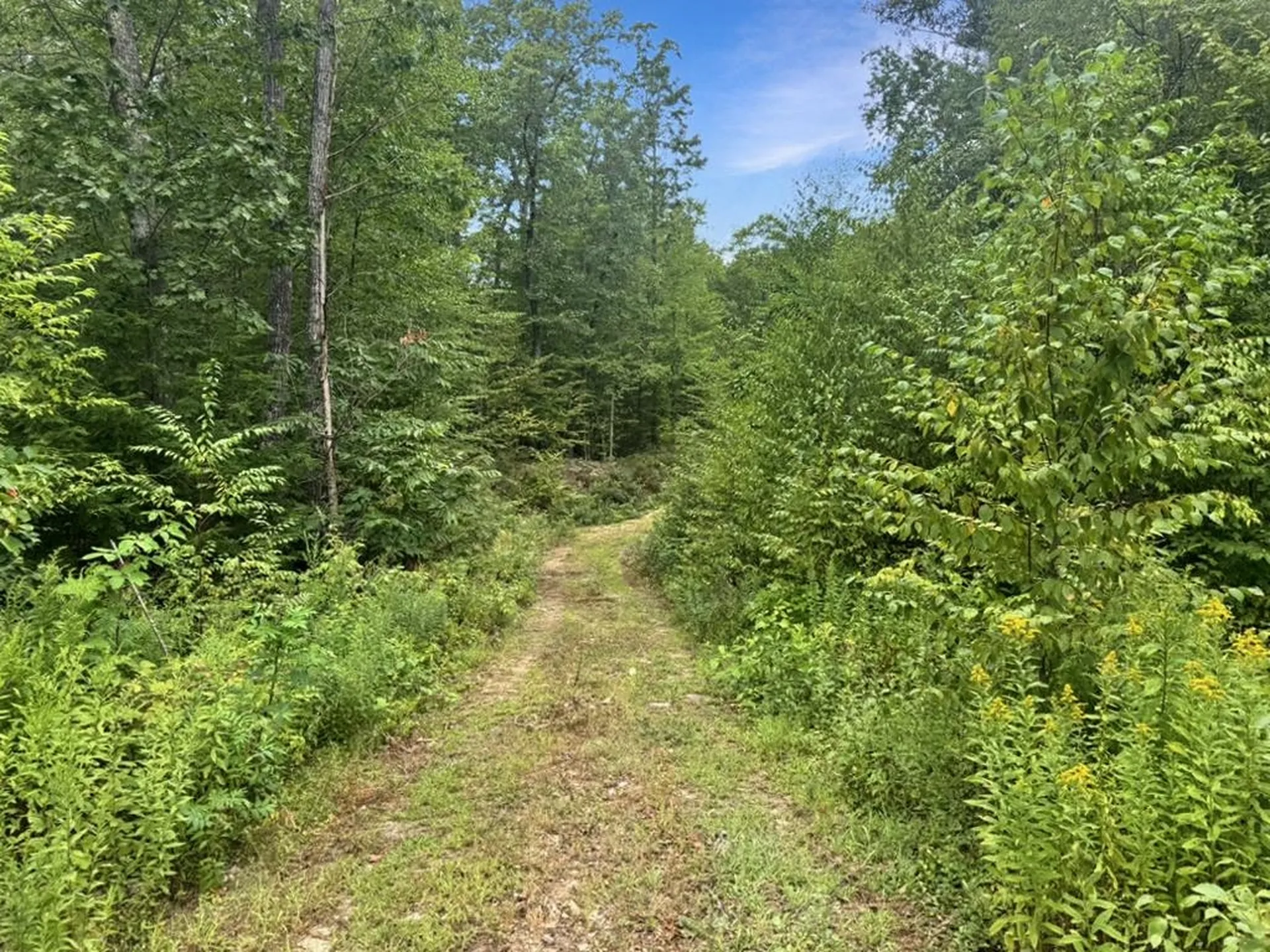 9 Lefevre Drive Kingston NH 03848