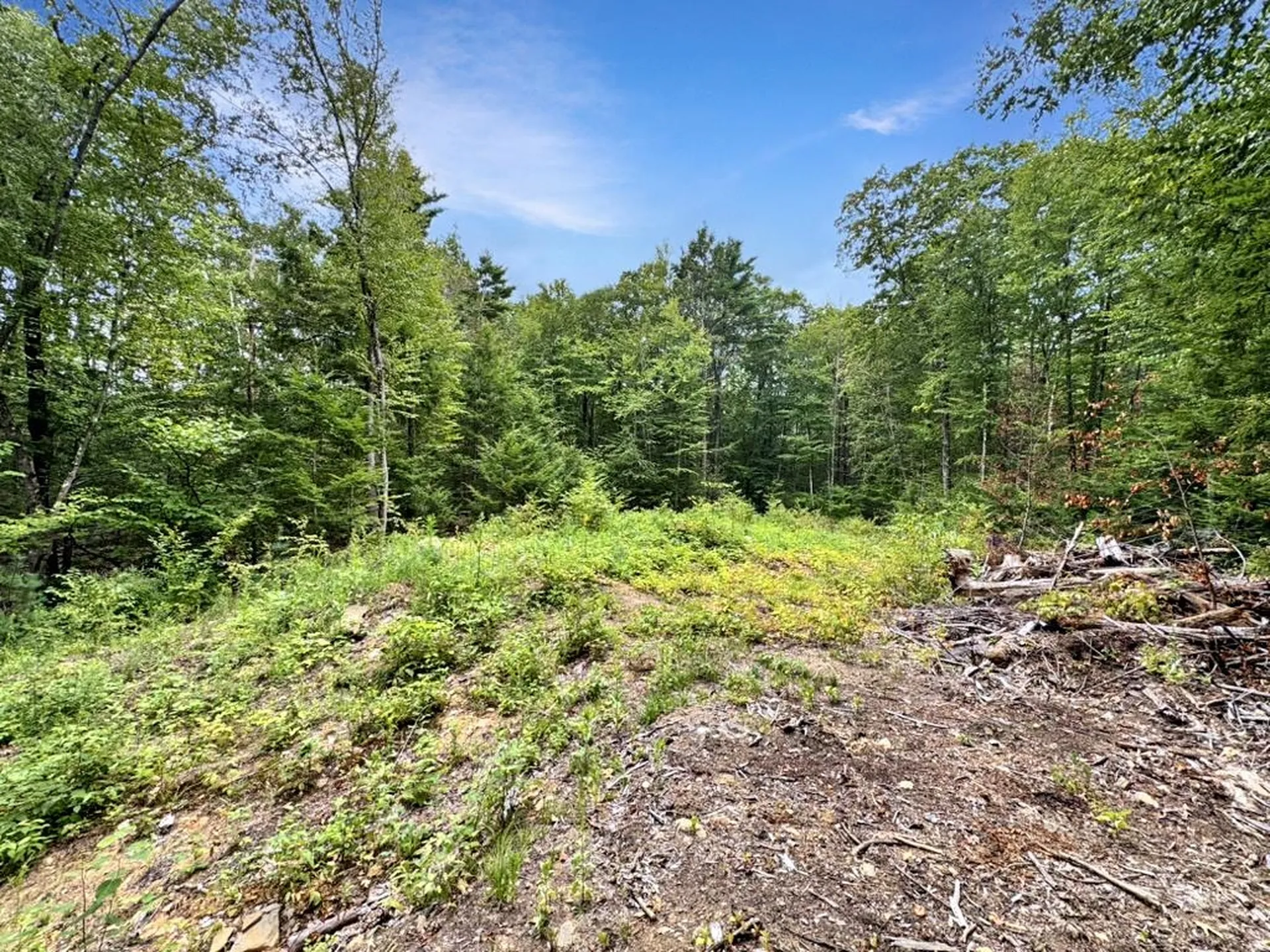 9 Lefevre Drive Kingston NH 03848