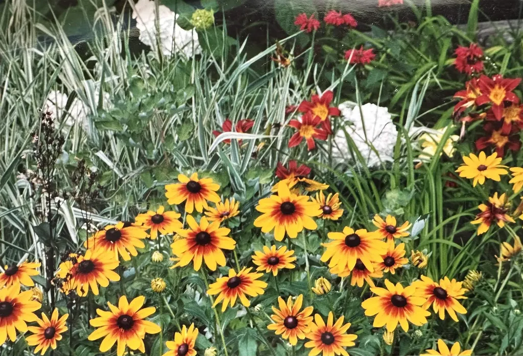 8 Berkley Terrace St. Albans City VT 05478