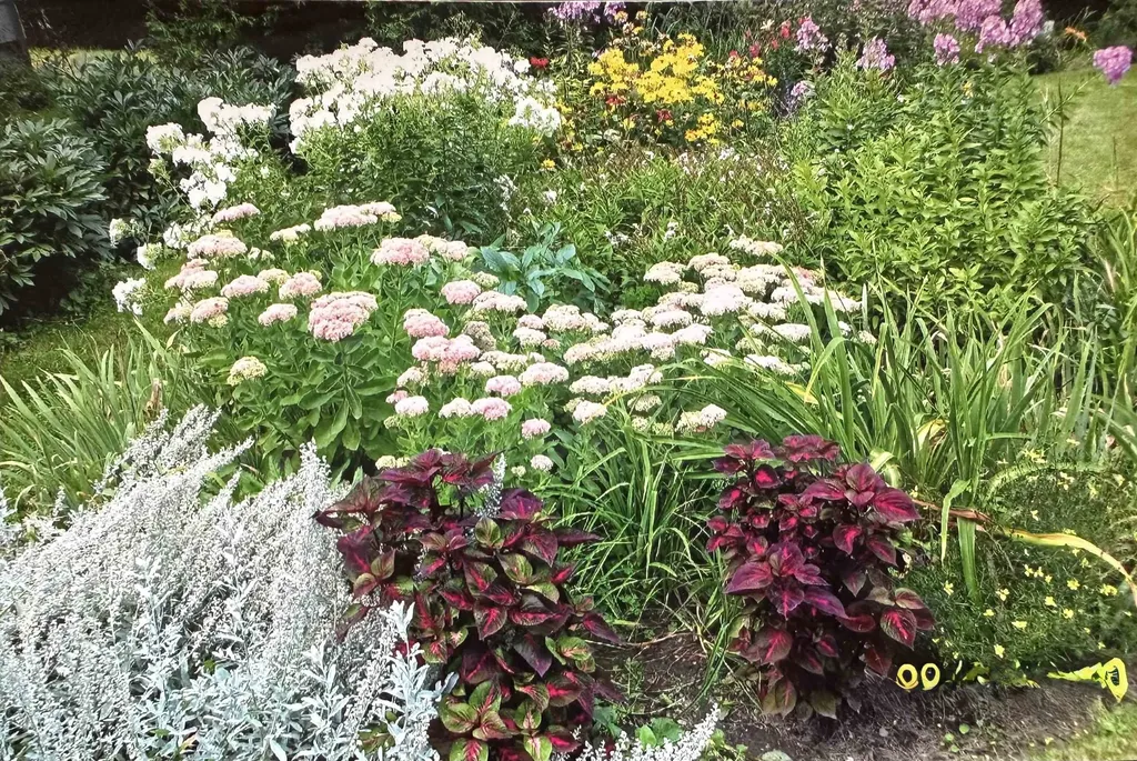 8 Berkley Terrace St. Albans City VT 05478