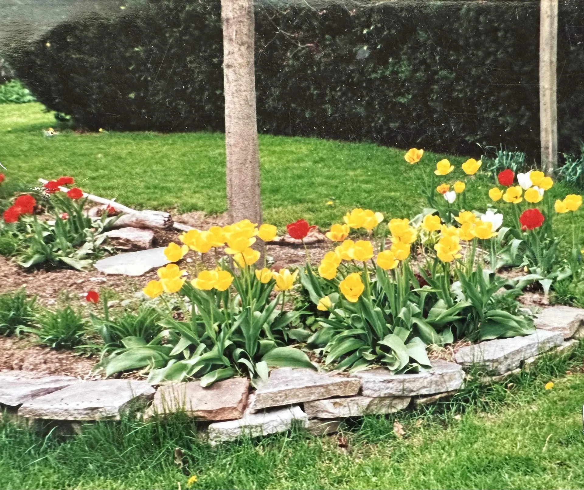 8 Berkley Terrace St. Albans City VT 05478