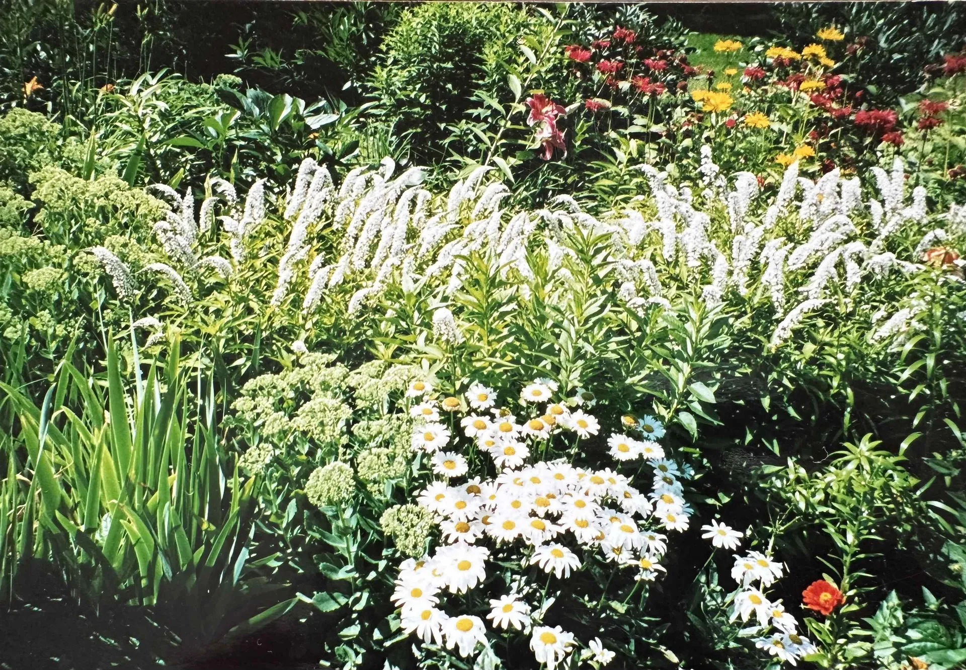 8 Berkley Terrace St. Albans City VT 05478