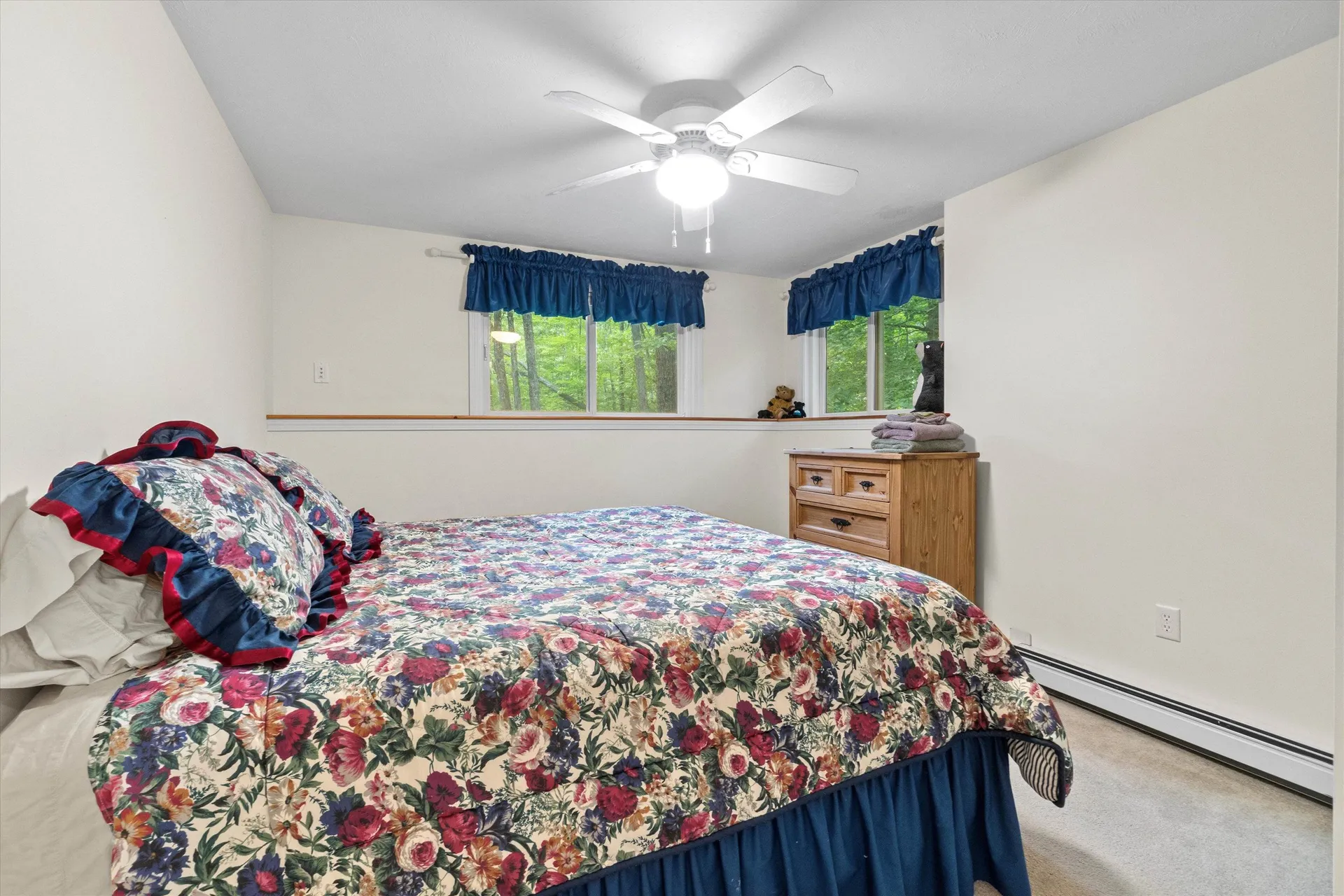 8 Panaway Drive Campton NH 03223