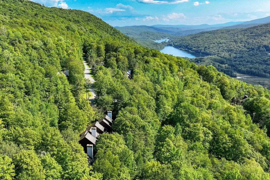 11 Blueberry Ledge Ridge Plymouth VT 05056