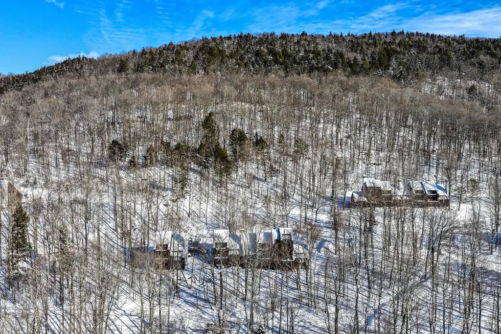 11 Blueberry Ledge Ridge Plymouth VT 05056