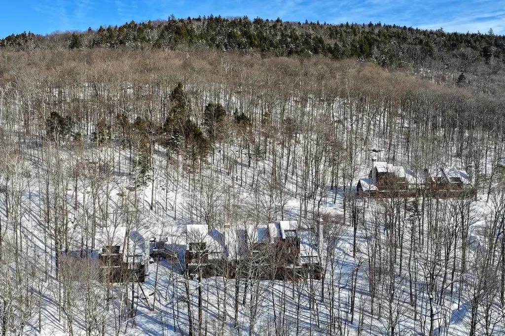 11 Blueberry Ledge Ridge Plymouth VT 05056