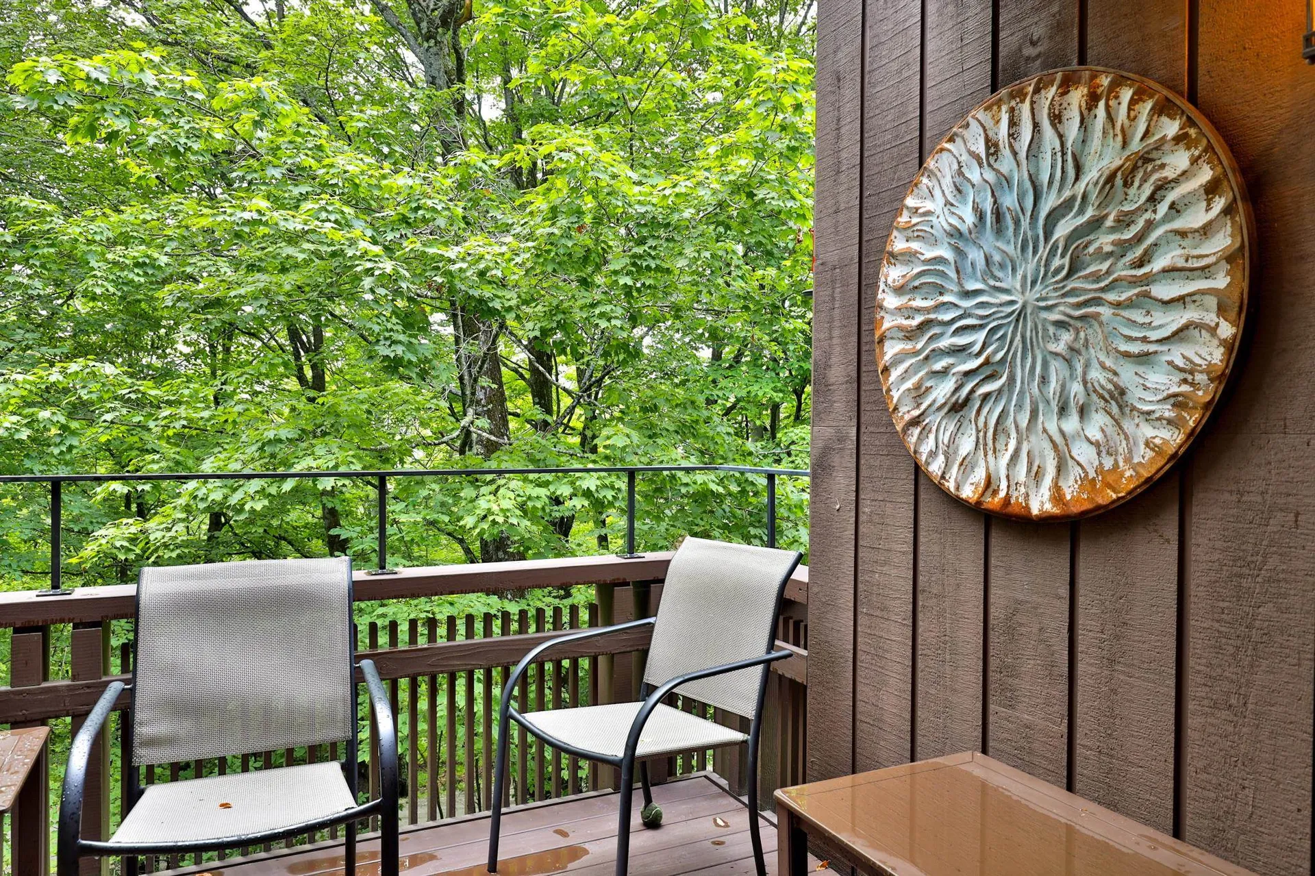 11 Blueberry Ledge Ridge Plymouth VT 05056