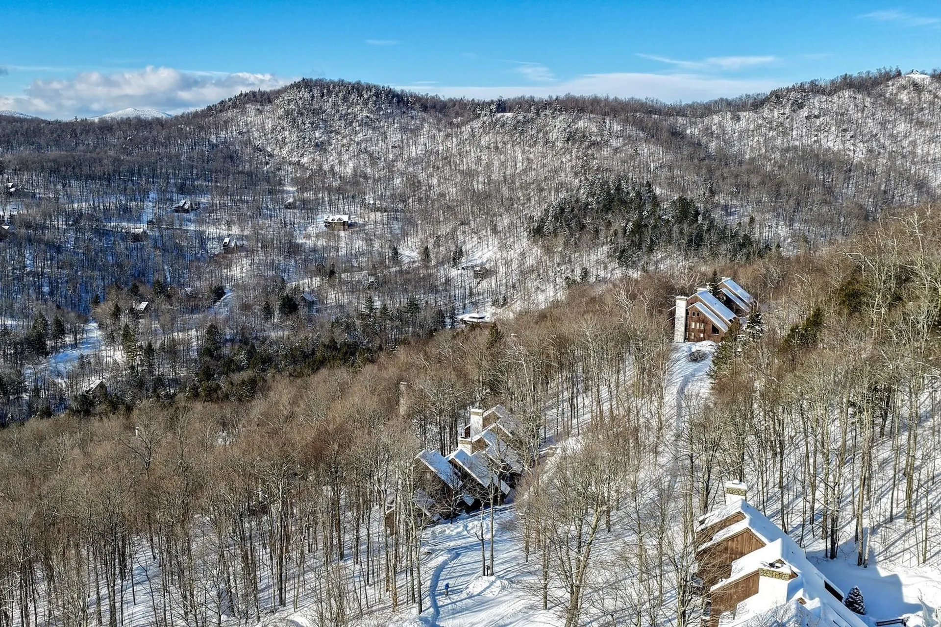 11 Blueberry Ledge Ridge Plymouth VT 05056