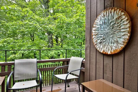 11 Blueberry Ledge Ridge Plymouth VT 05056