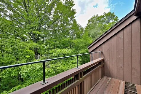 11 Blueberry Ledge Ridge Plymouth VT 05056