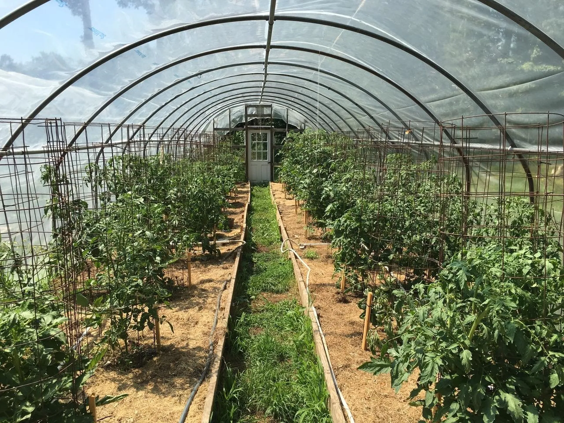 31 Creek Hill Drive Danville NH 03819