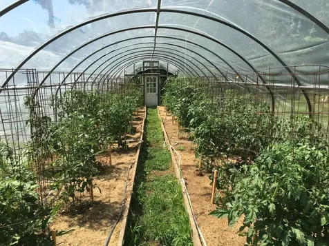 31 Creek Hill Drive Danville NH 03819