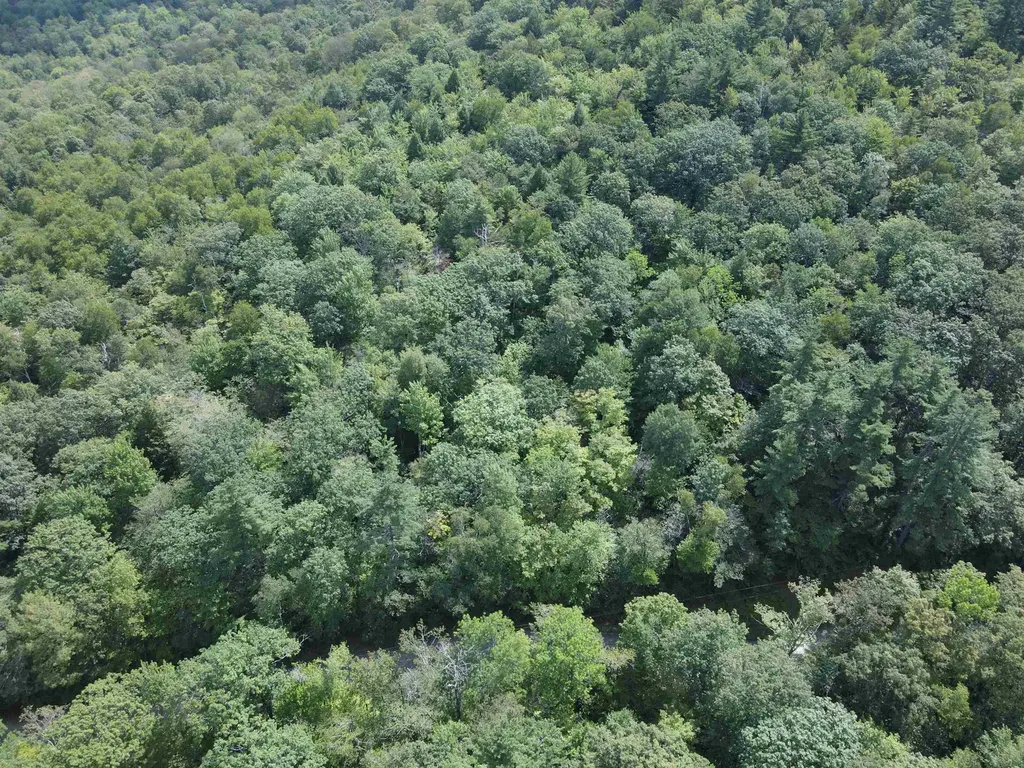 Lot 1 Old Stage Road Chester VT 05143