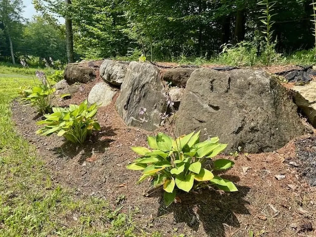 123 County Turnpike Road Tunbridge VT 05077