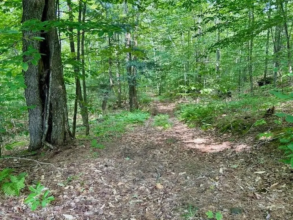 123 County Turnpike Road Tunbridge VT 05077