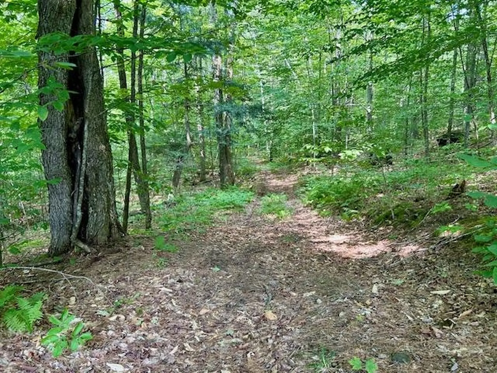 123 County Turnpike Road Tunbridge VT 05077