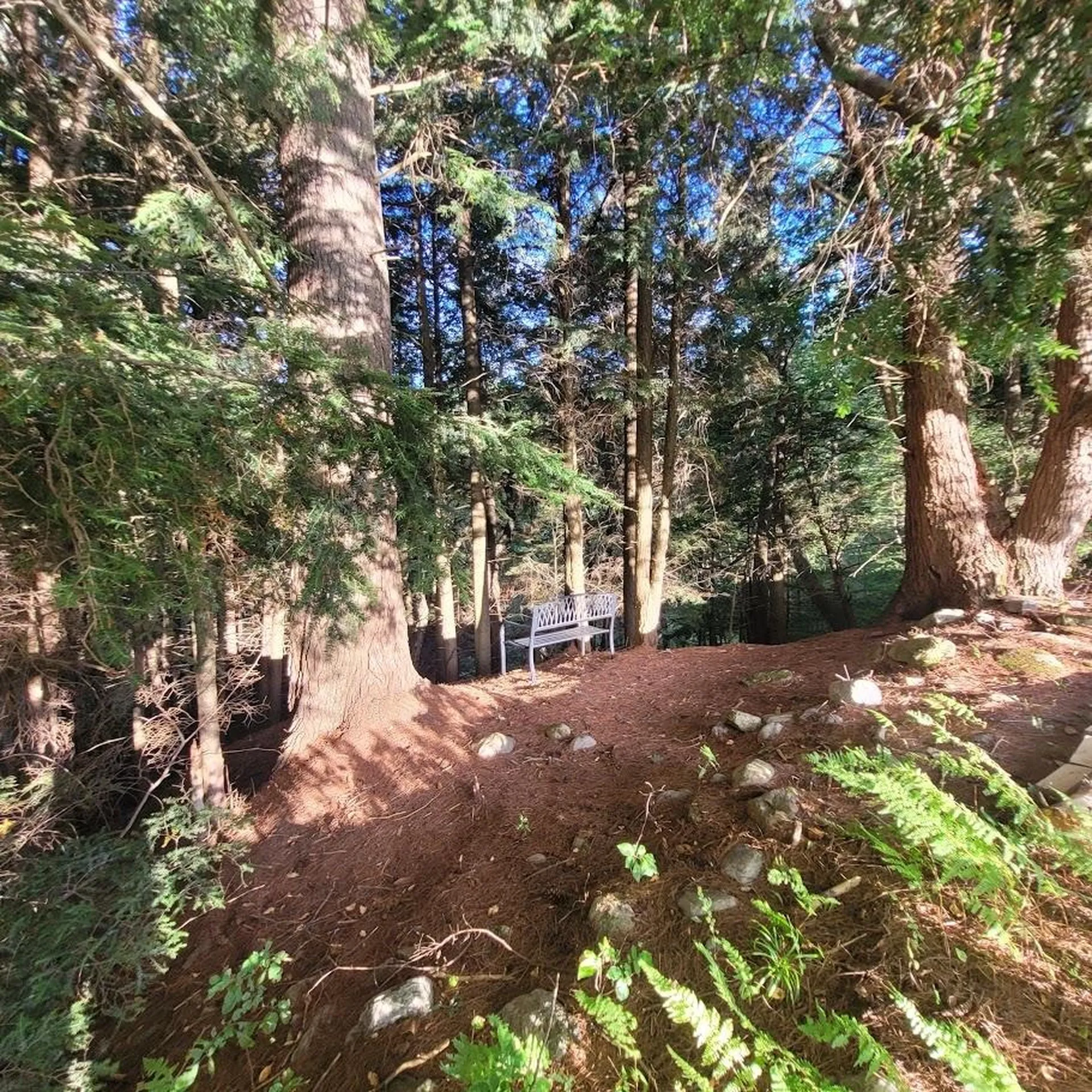 713 South Hill Road Ludlow VT 05149