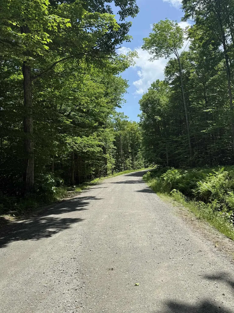 Lot A1 Tunnel Stream Road Benton NH 03785