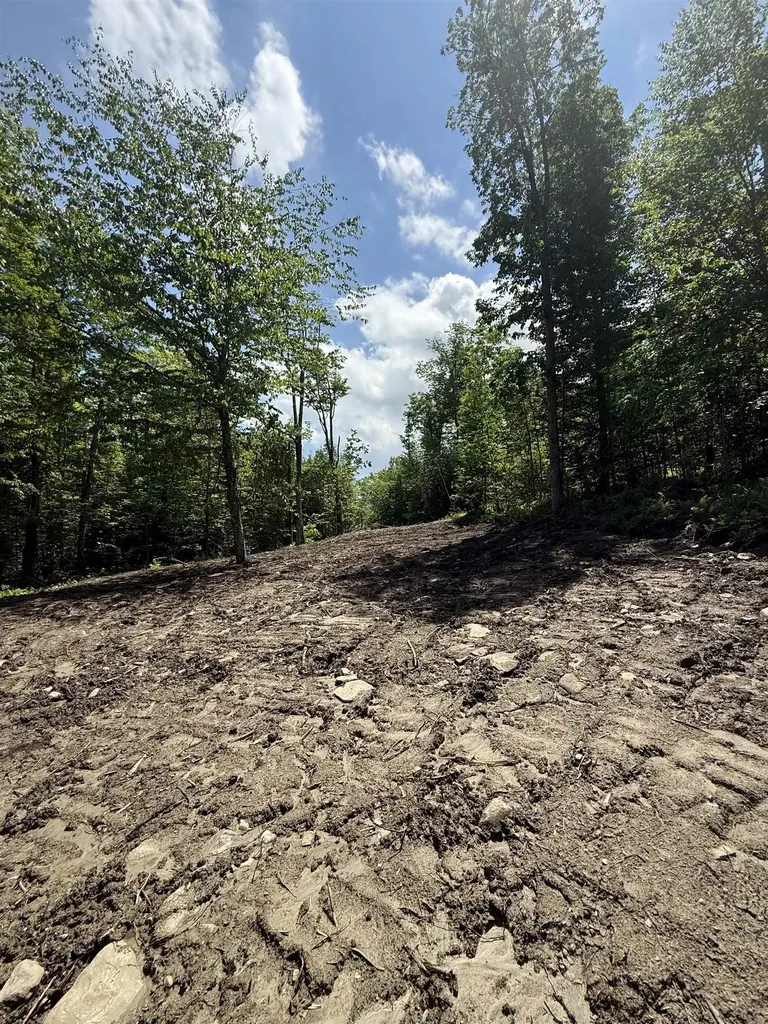 Lot A1 Tunnel Stream Road Benton NH 03785