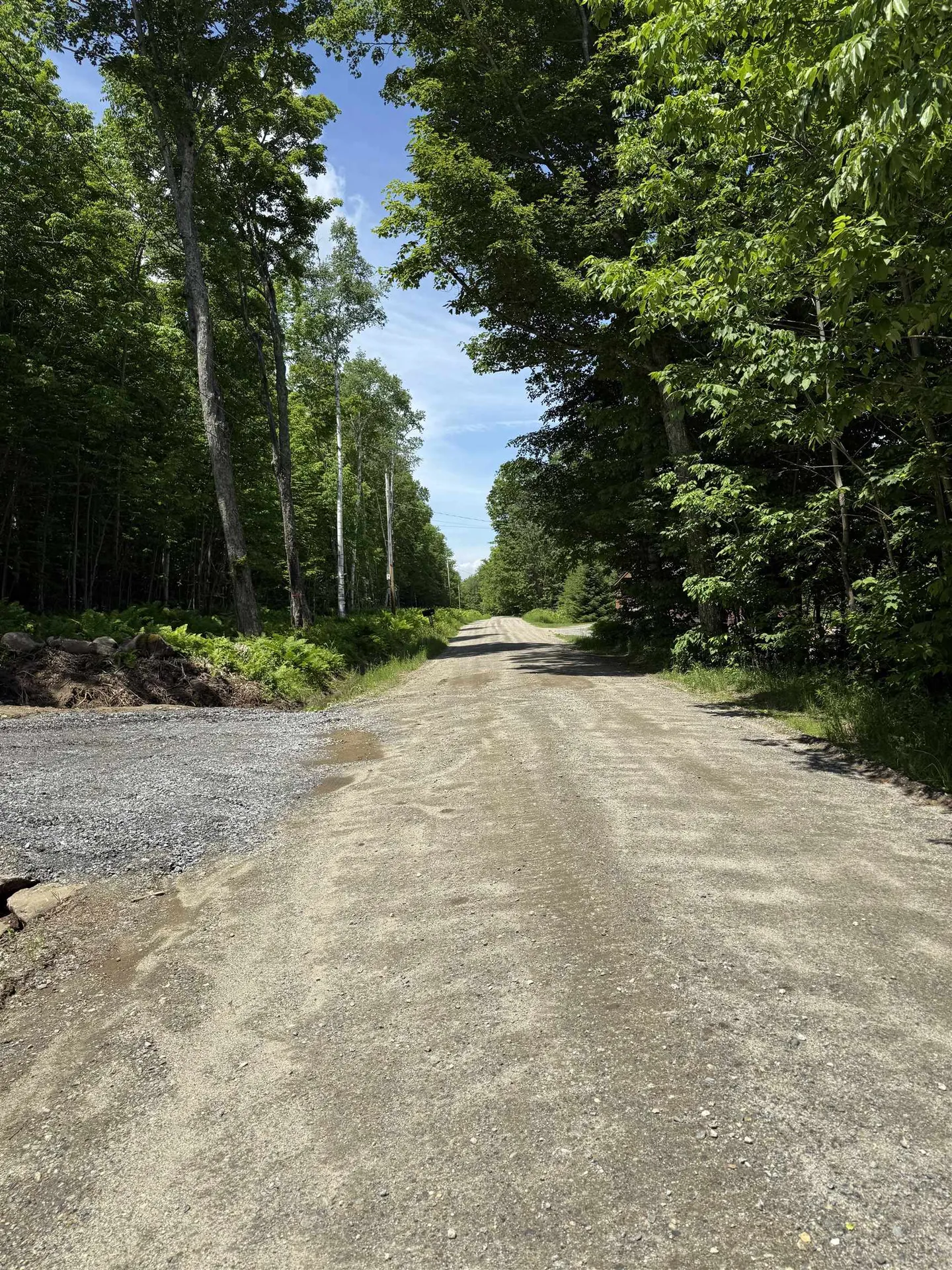 Lot A1 Tunnel Stream Road Benton NH 03785