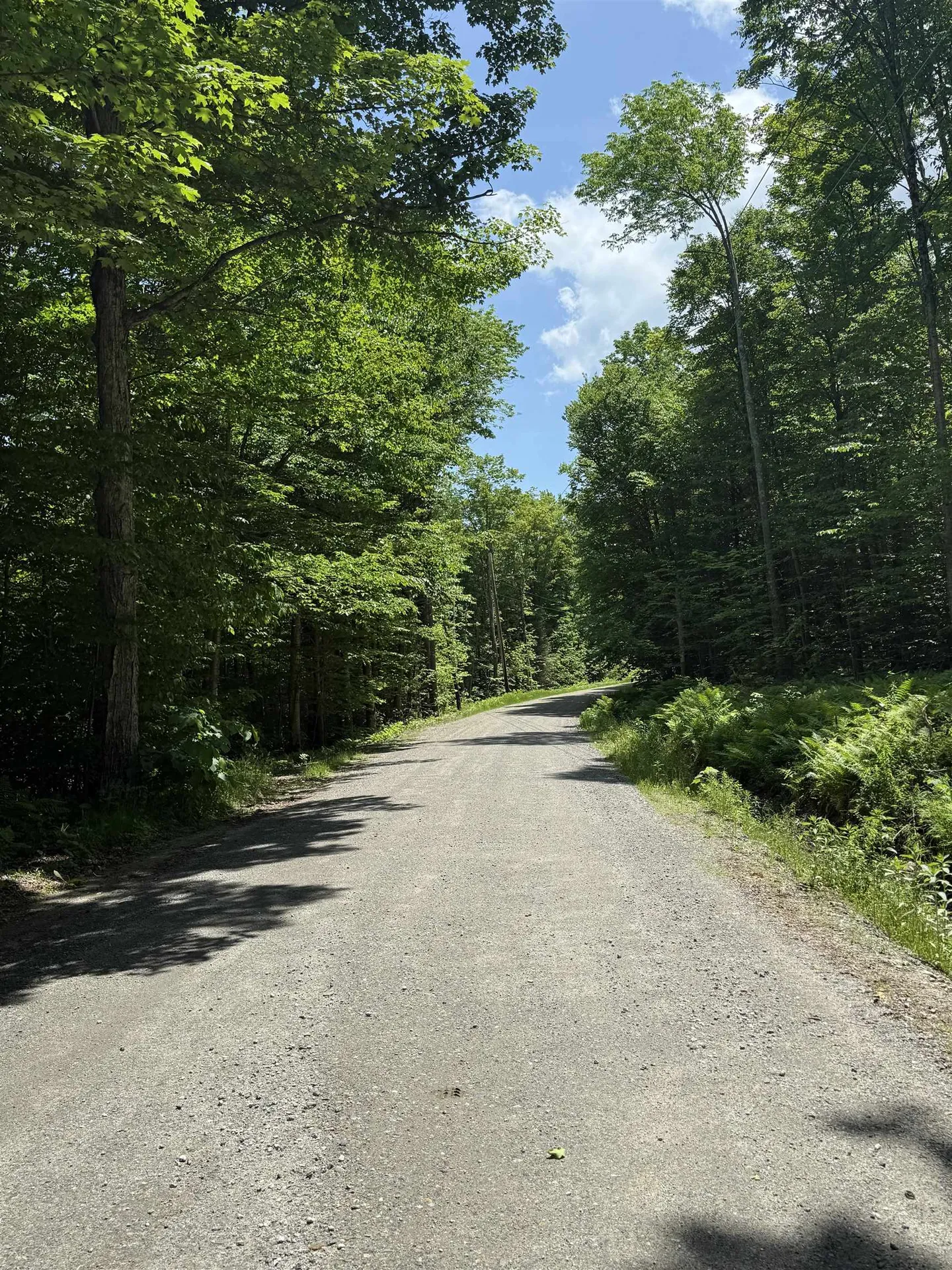 Lot A1 Tunnel Stream Road Benton NH 03785