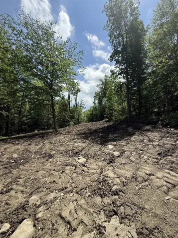 Lot A1 Tunnel Stream Road Benton NH 03785