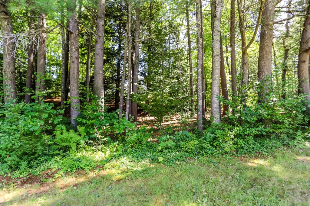 168 Lower Jaffrey Road Dublin NH 03444