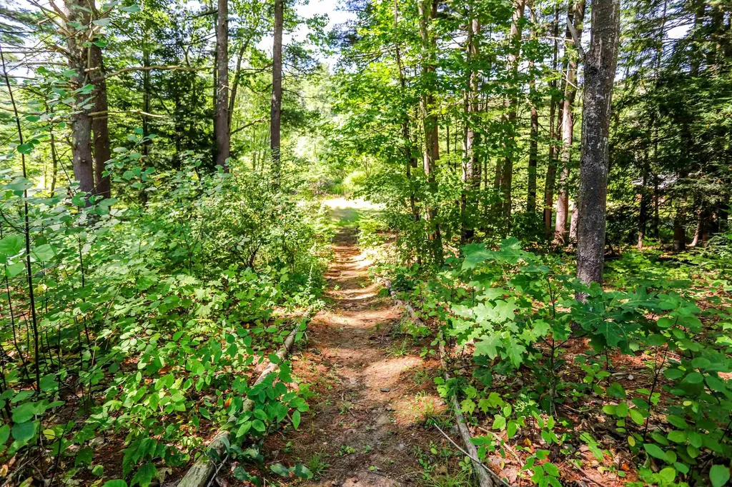 168 Lower Jaffrey Road Dublin NH 03444