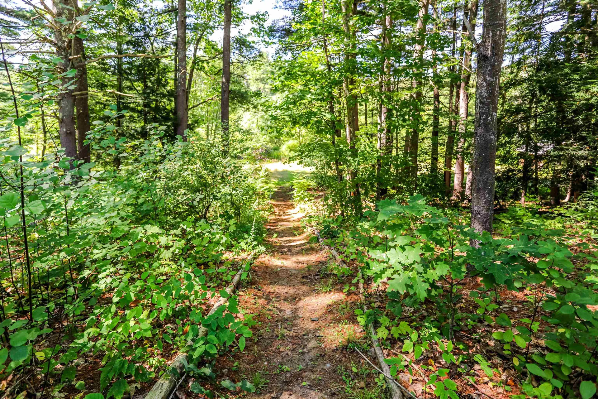 168 Lower Jaffrey Road Dublin NH 03444