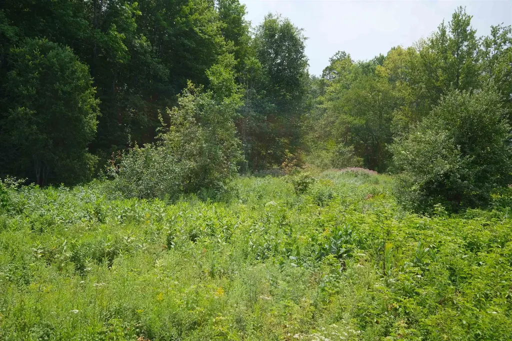 525 Station Road Mount Holly VT 05758