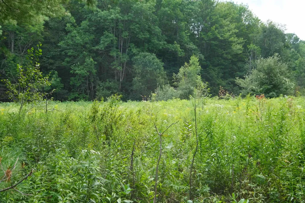 525 Station Road Mount Holly VT 05758