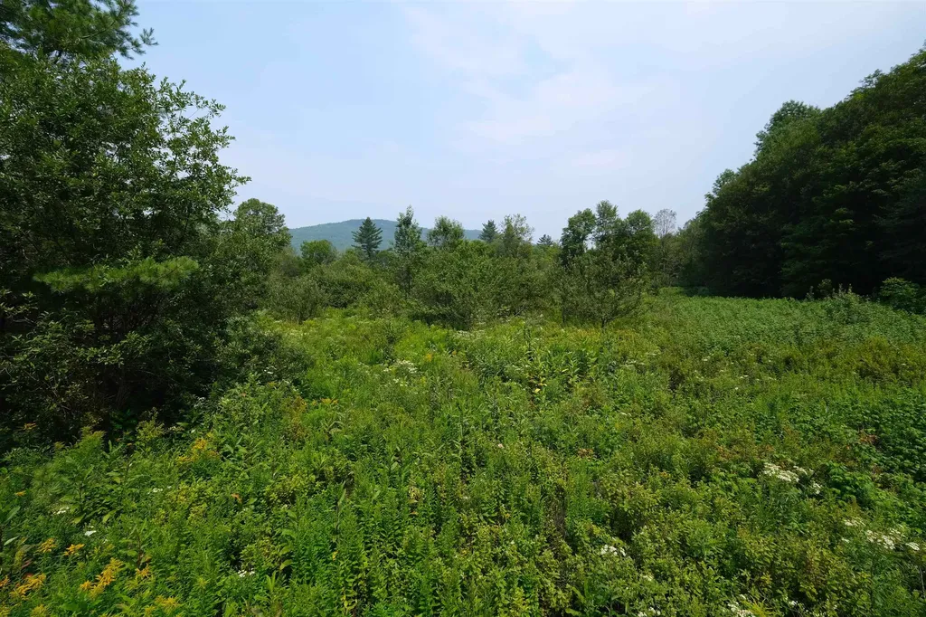 525 Station Road Mount Holly VT 05758