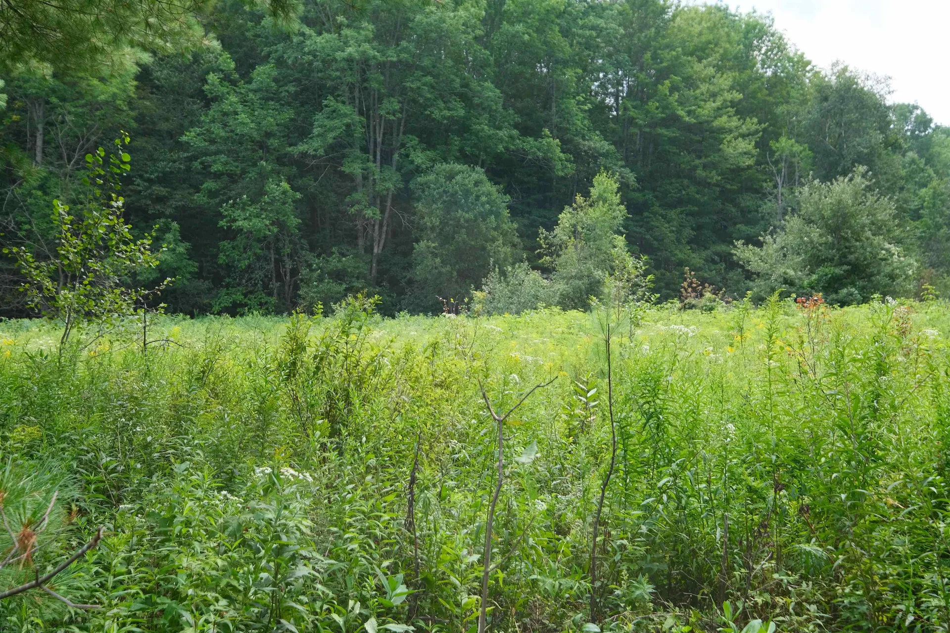 525 Station Road Mount Holly VT 05758