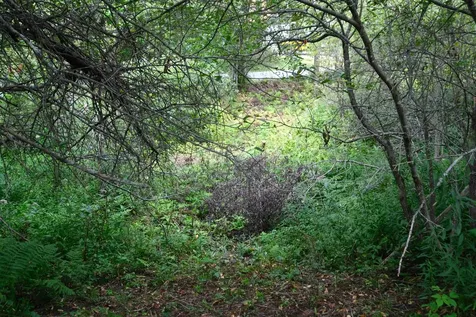 525 Station Road Mount Holly VT 05758