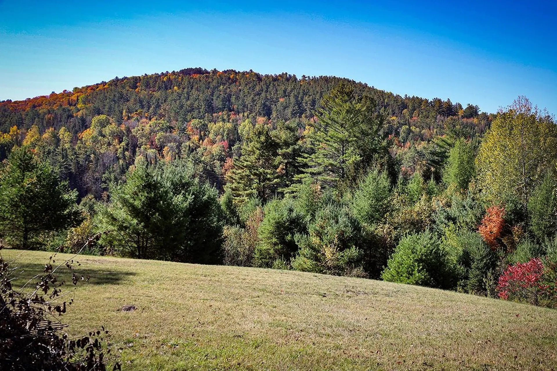 65 Ledgewood Drive St. Johnsbury VT 05819