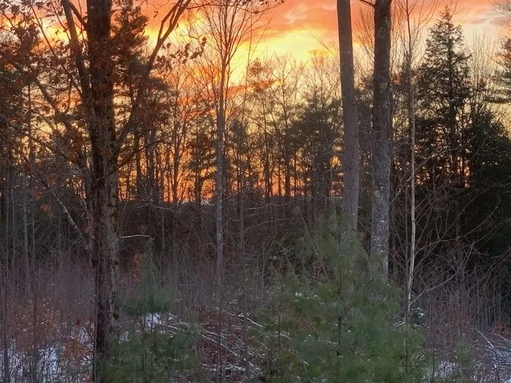 232 Wild Acres Road Belmont NH 03220